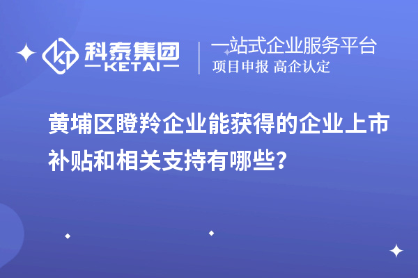 黃埔區(qū)瞪羚企業(yè)能獲得的企業(yè)上市補(bǔ)貼和相關(guān)支持有哪些？