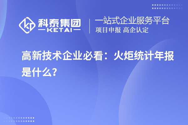 高新技術(shù)企業(yè)必看：火炬統(tǒng)計(jì)年報(bào)是什么？