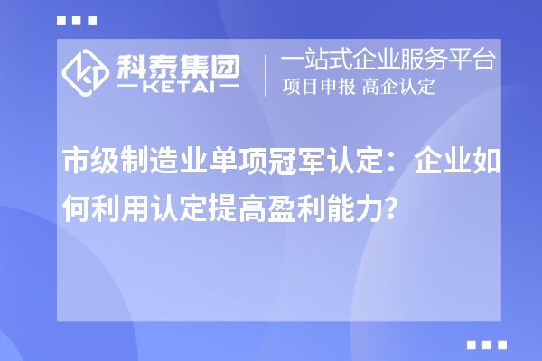 市級制造業(yè)單項冠軍認定：企業(yè)如何利用認定提高盈利能力？