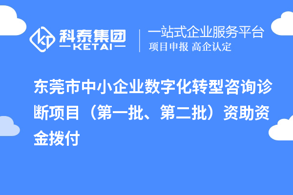 東莞市中小企業(yè)數(shù)字化轉(zhuǎn)型咨詢?cè)\斷項(xiàng)目（第一批、第二批）資助資金撥付