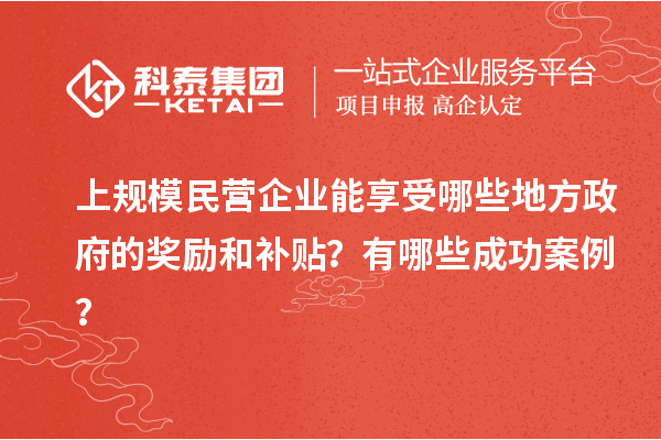 上規(guī)模民營企業(yè)能享受哪些地方政府的獎勵和補貼？有哪些成功案例？