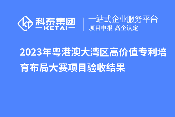 2023年粵港澳大灣區(qū)高價值專利培育布局大賽項目驗收結(jié)果