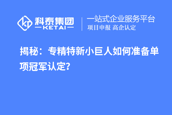 揭秘：專精特新小巨人如何準備單項冠軍認定？