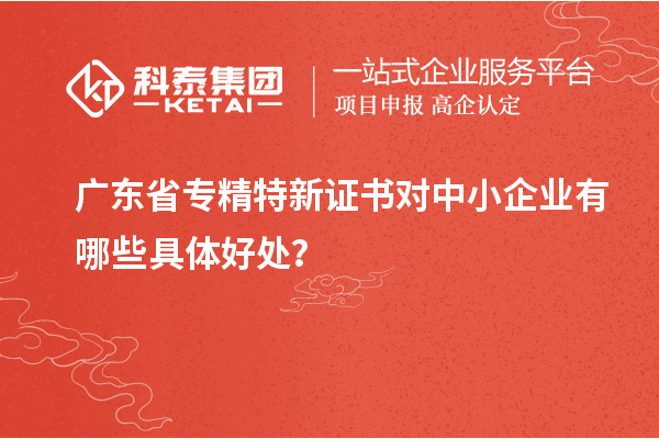 廣東省專精特新證書對中小企業(yè)有哪些具體好處？