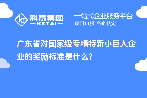 廣東省對(duì)國(guó)家級(jí)專精特新小巨人企業(yè)的獎(jiǎng)勵(lì)標(biāo)準(zhǔn)是什么？