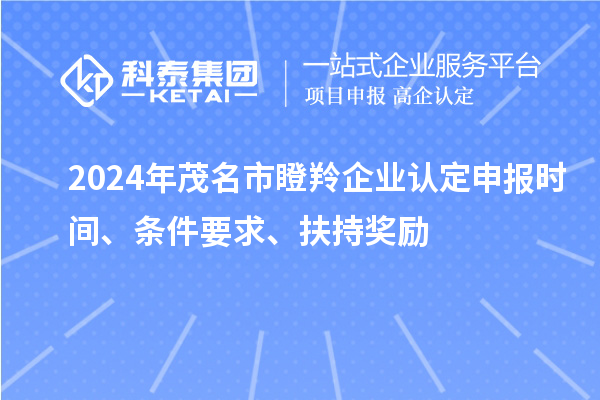 2024年茂名市瞪羚企業(yè)認定申報時間、條件要求、扶持獎勵