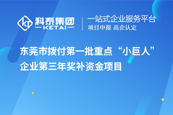 東莞市撥付第一批重點“小巨人”企業(yè)第三年獎補資金項目