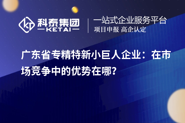 廣東省專精特新小巨人企業(yè)：在市場競爭中的優(yōu)勢在哪？