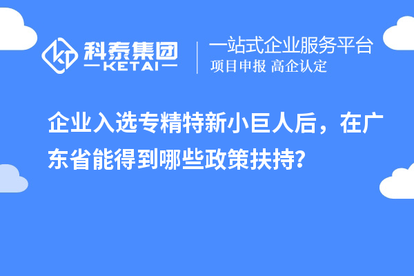 企業(yè)入選專精特新小巨人后，在廣東省能得到哪些政策扶持？