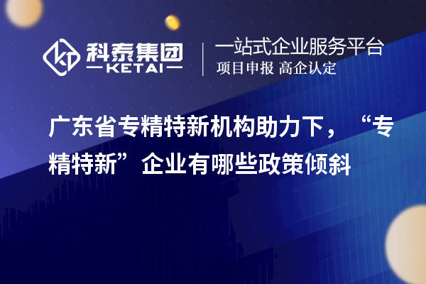 廣東省專精特新機(jī)構(gòu)助力下，“專精特新” 企業(yè)有哪些政策傾斜