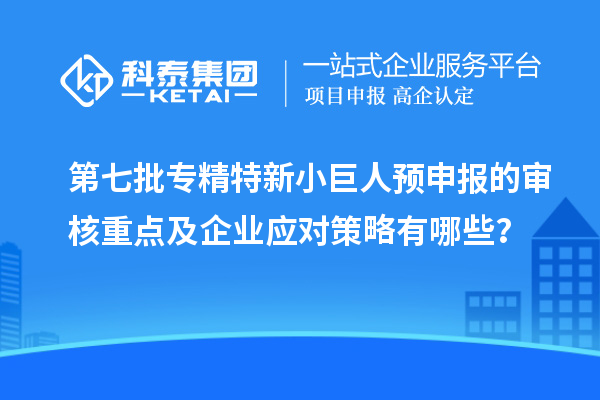 第七批專精特新小巨人預(yù)申報的審核重點及企業(yè)應(yīng)對策略有哪些？