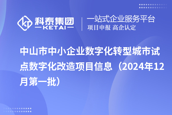 中山市中小企業(yè)數(shù)字化轉(zhuǎn)型城市試點(diǎn)數(shù)字化改造項(xiàng)目信息（2024年12月第一批）