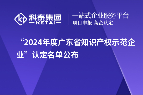 “2024年度廣東省知識產(chǎn)權(quán)示范企業(yè)”認(rèn)定名單公布