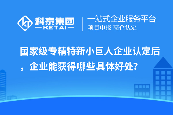 國家級專精特新小巨人企業(yè)認定后，企業(yè)能獲得哪些具體好處？