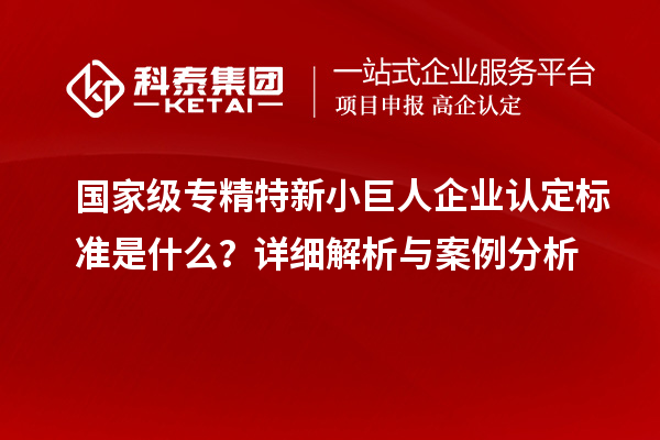 國家級專精特新小巨人企業(yè)認定標準是什么？詳細解析與案例分析