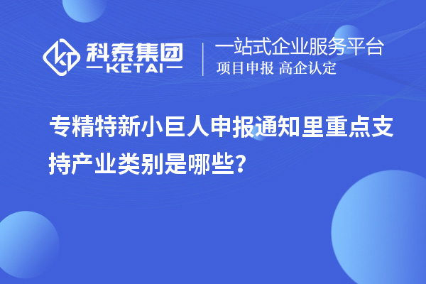 專精特新小巨人申報通知里重點支持產(chǎn)業(yè)類別是哪些？