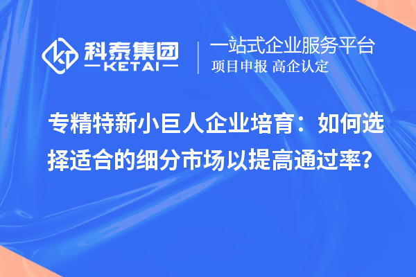 專精特新小巨人企業(yè)培育：如何選擇適合的細分市場以提高通過率？