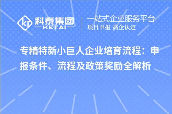 專精特新小巨人企業(yè)培育流程：申報條件、流程及政策獎勵全解析