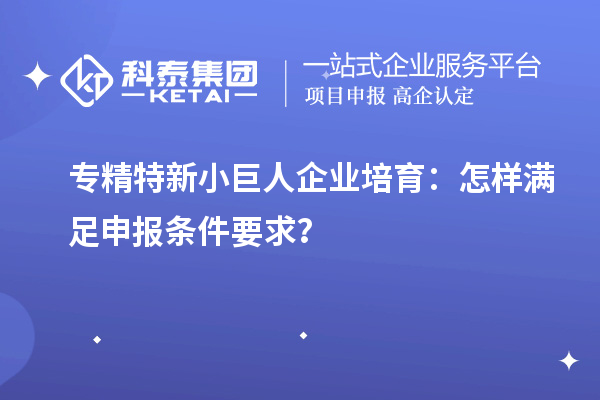 專精特新小巨人企業(yè)培育：怎樣滿足申報條件要求？