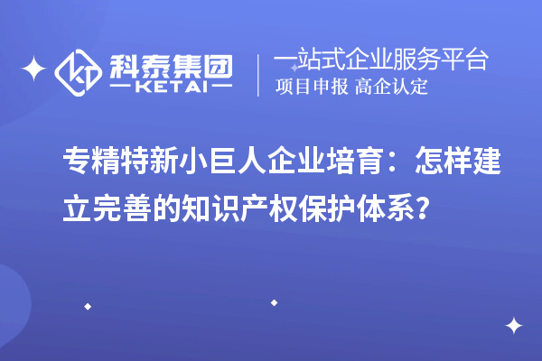 專精特新小巨人企業(yè)培育：怎樣建立完善的知識產(chǎn)權保護體系？