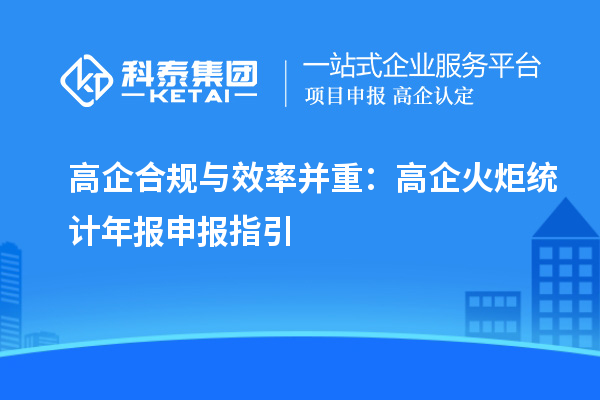 高企合規(guī)與效率并重：高企火炬統(tǒng)計(jì)年報(bào)申報(bào)指引