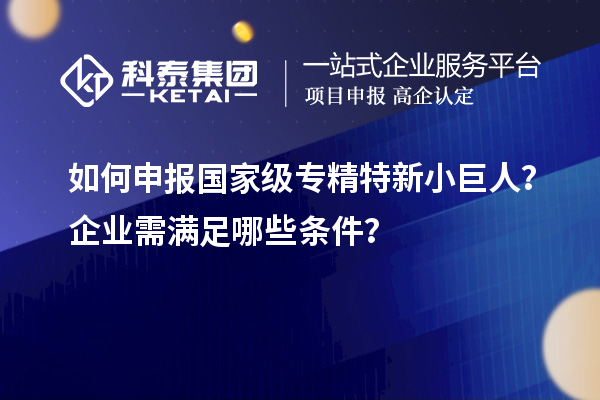 如何申報(bào)國(guó)家級(jí)專(zhuān)精特新小巨人？企業(yè)需滿(mǎn)足哪些條件？