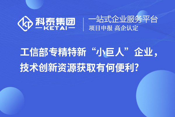 工信部專精特新 “小巨人” 企業(yè)，技術創(chuàng)新資源獲取有何便利?