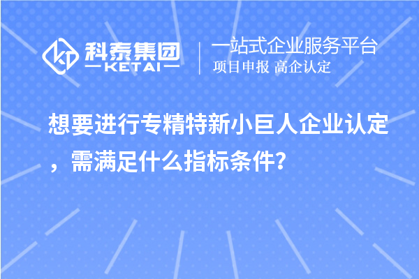 想要進行專精特新小巨人企業(yè)認定，需滿足什么指標條件？