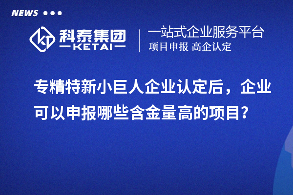 專精特新小巨人企業(yè)認(rèn)定后，企業(yè)可以申報(bào)哪些含金量高的項(xiàng)目？