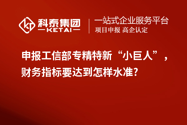 申報(bào)工信部專精特新 “小巨人”，財(cái)務(wù)指標(biāo)要達(dá)到怎樣水準(zhǔn)?