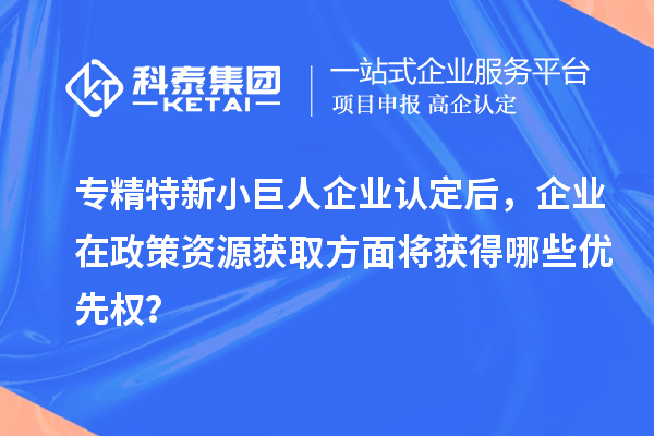 專精特新小巨人企業(yè)認(rèn)定后，企業(yè)在政策資源獲取方面將獲得哪些優(yōu)先權(quán)？