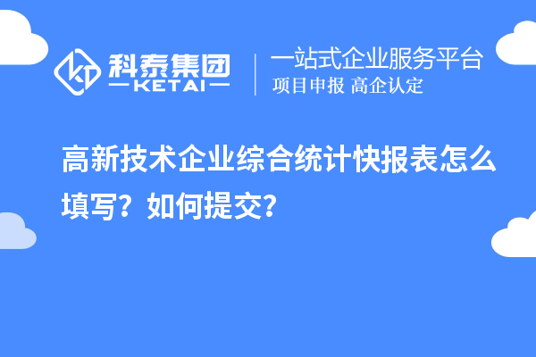 高新技術(shù)企業(yè)綜合統(tǒng)計(jì)快報(bào)表怎么填寫？如何提交？