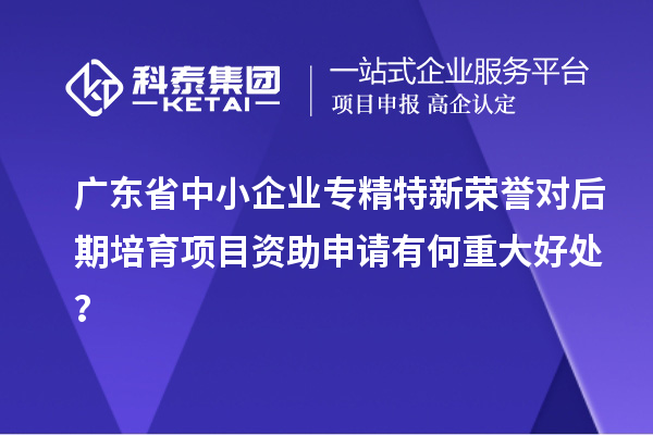 廣東省中小企業(yè)專精特新榮譽(yù)對(duì)后期培育項(xiàng)目資助申請(qǐng)有何重大好處？