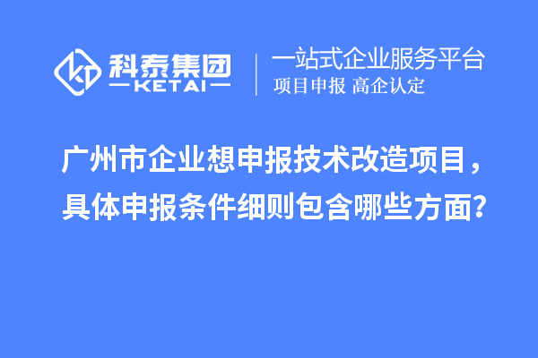 廣州市企業(yè)想申報技術(shù)改造項目，具體申報條件細則包含哪些方面？