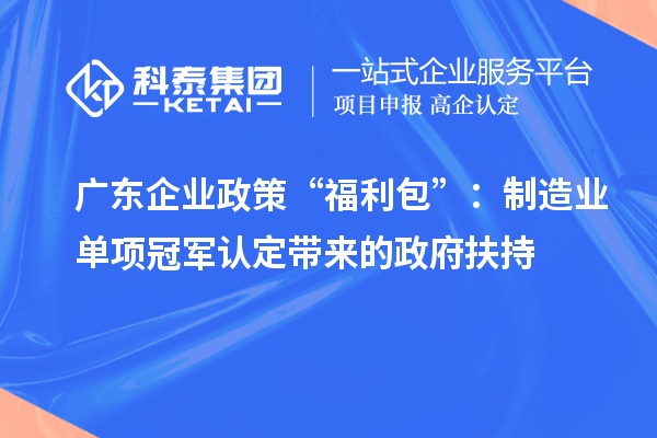 廣東企業(yè)政策“福利包”：制造業(yè)單項冠軍認(rèn)定帶來的政府扶持